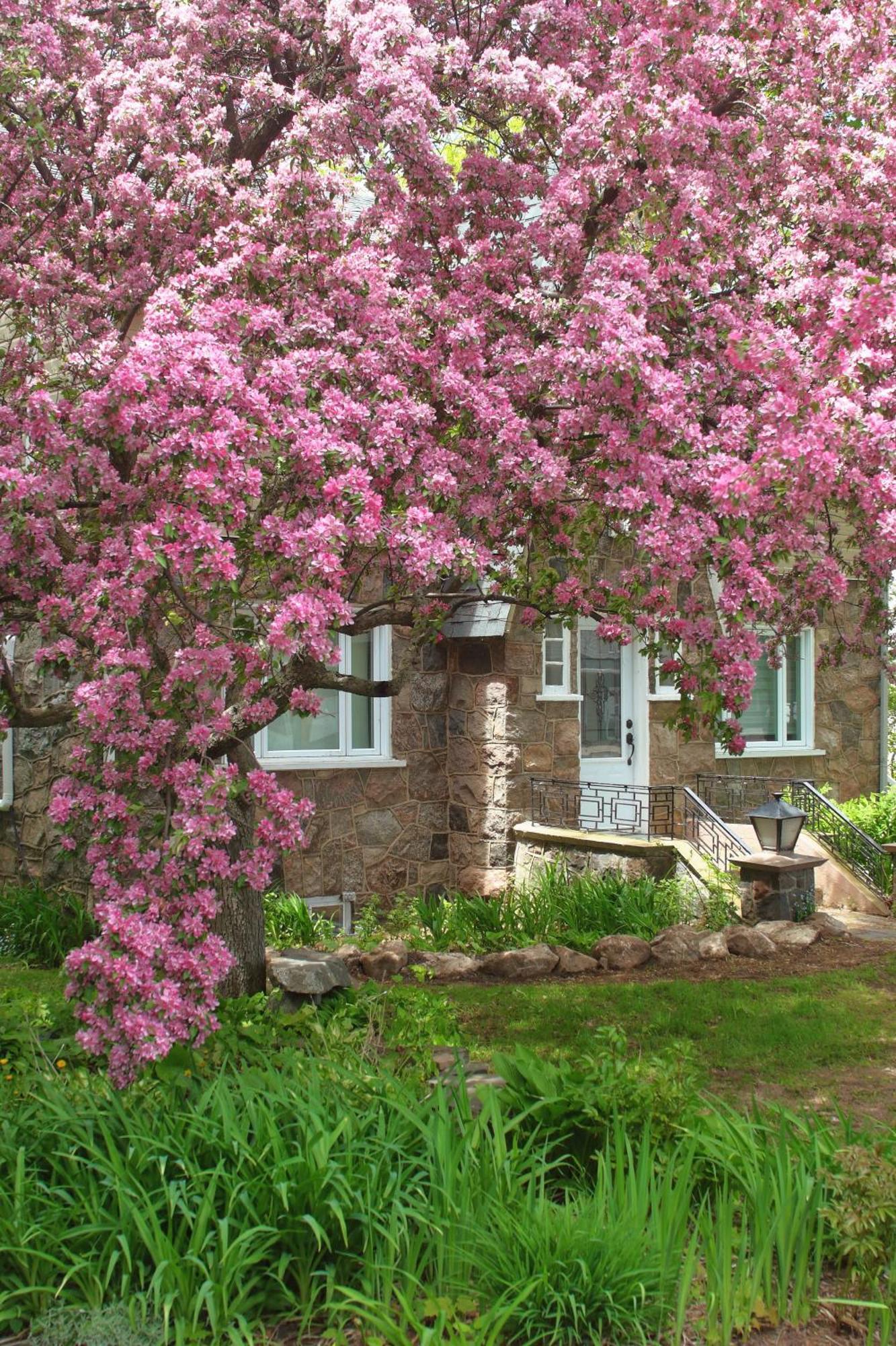 Rester Vivant Chambres D'Hotes Сен-Жан-Пор-Жоли Экстерьер фото